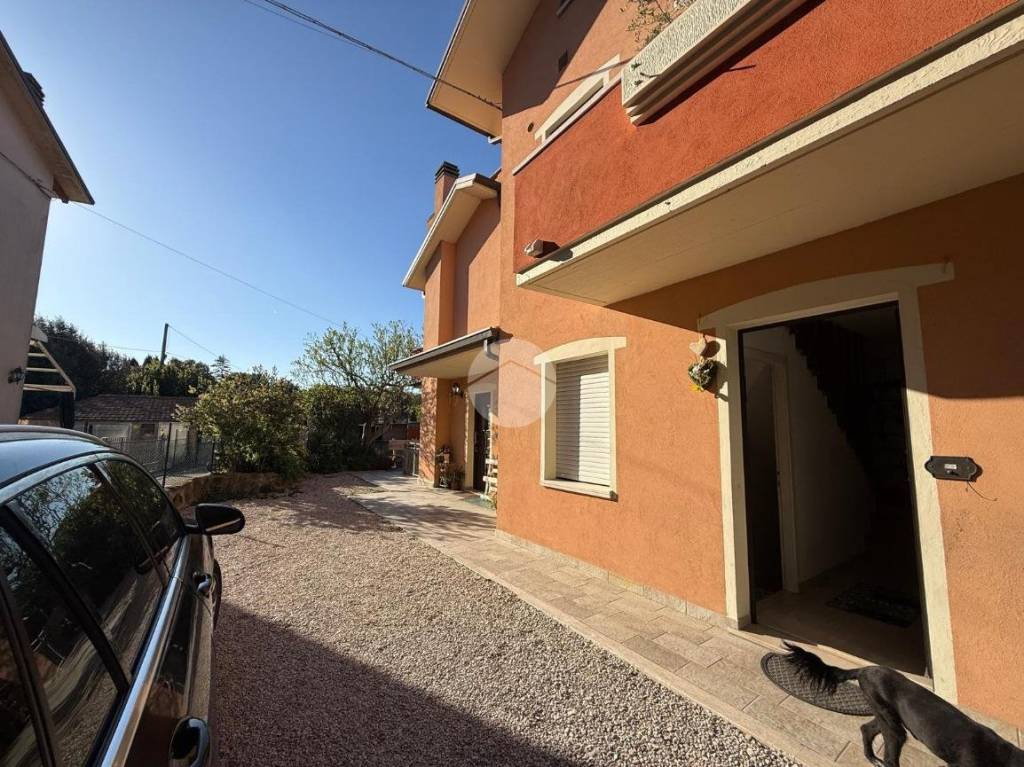 immagine annuncio 1 di 14