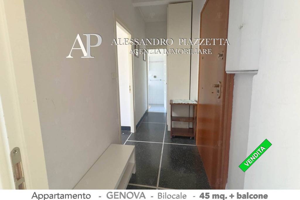 immagine annuncio 7 di 14