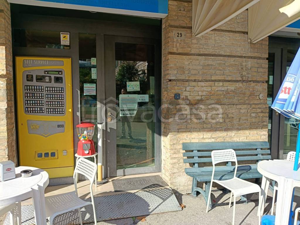 immagine annuncio 5 di 11