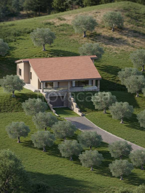 immagine annuncio 2 di 13