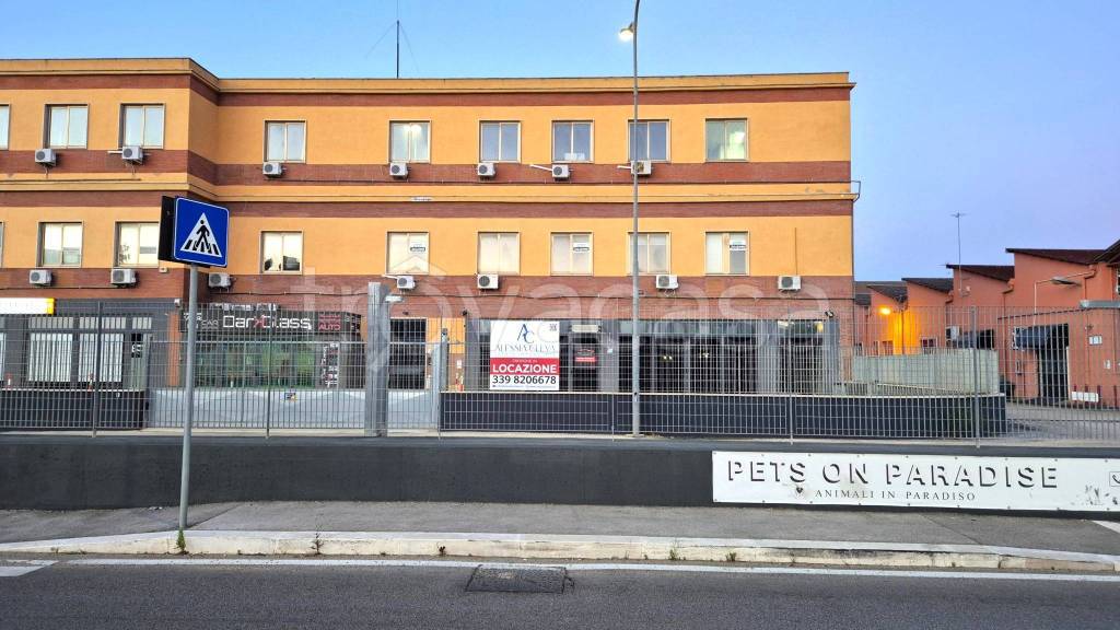 immagine annuncio 10 di 15