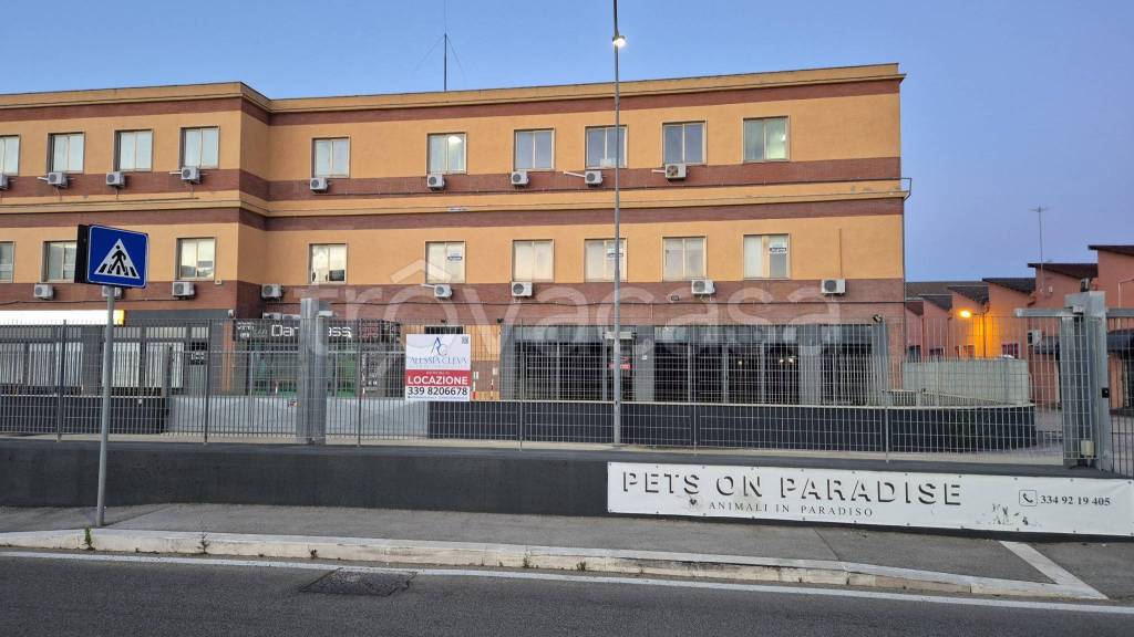 immagine annuncio 13 di 15