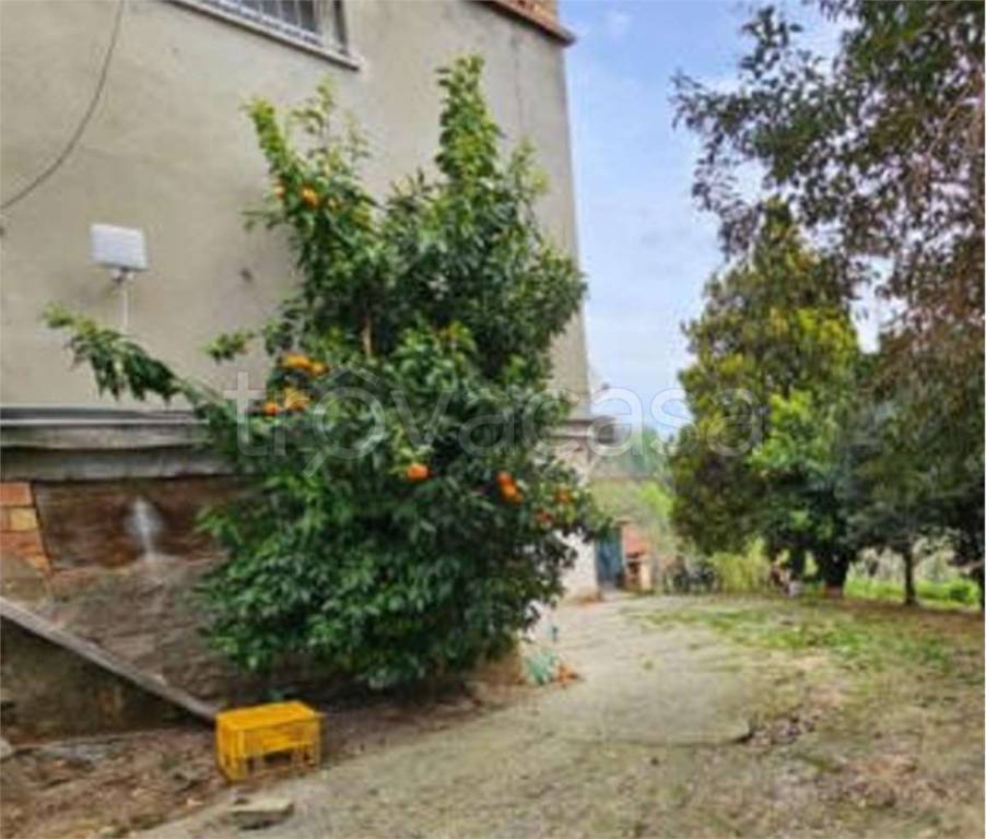 immagine annuncio 9 di 14