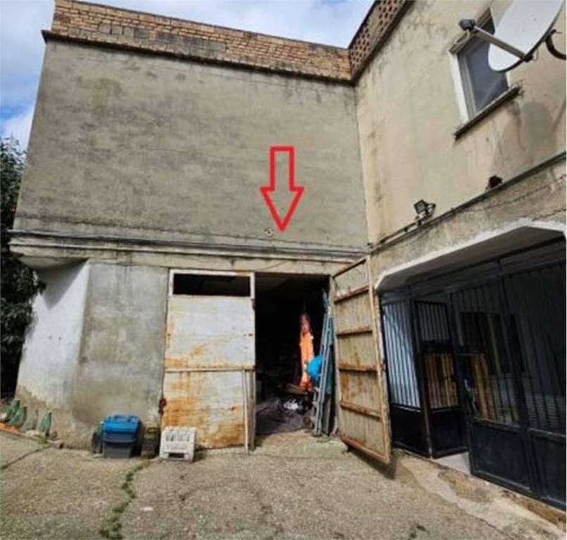 immagine annuncio 12 di 14