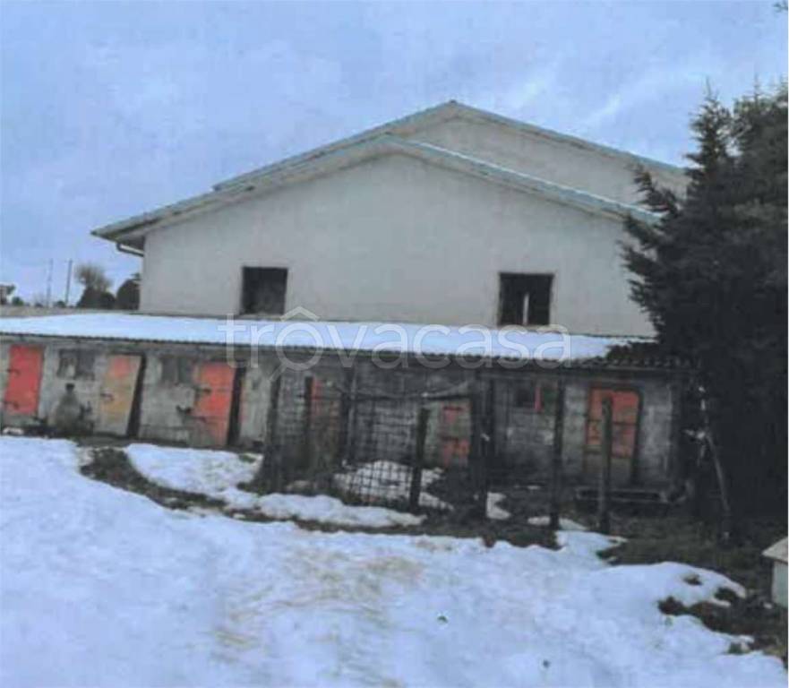 immagine annuncio 3 di 12
