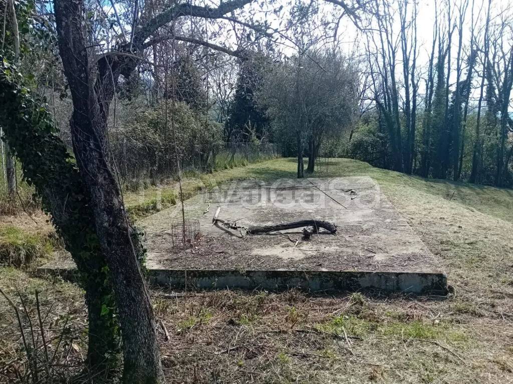 immagine annuncio 6 di 8