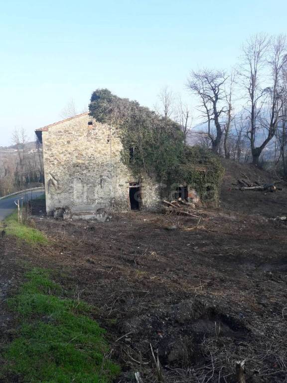 immagine annuncio 1 di 7