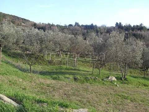 immagine annuncio 2 di 3