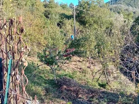immagine annuncio 4 di 8