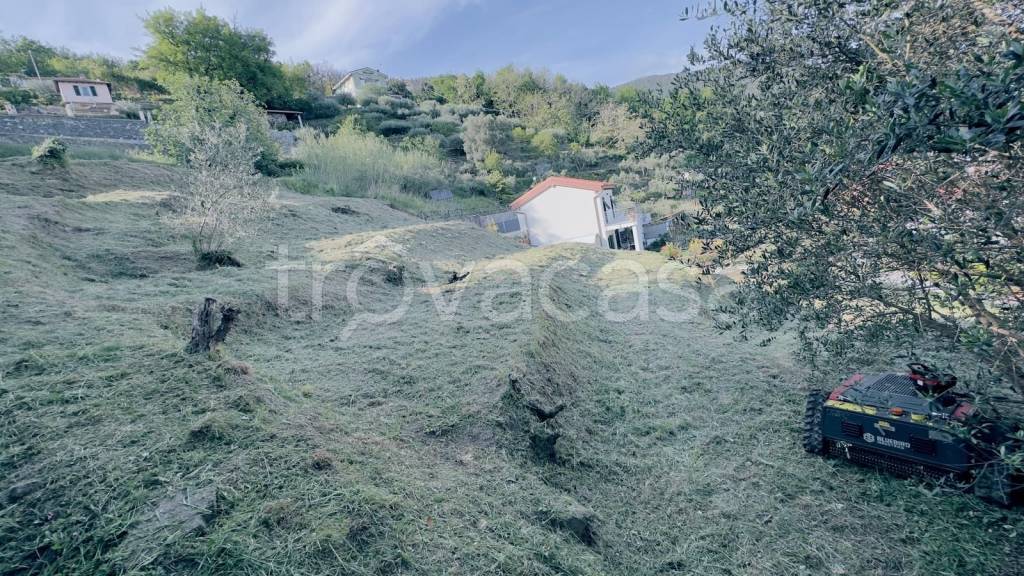 immagine annuncio 8 di 13