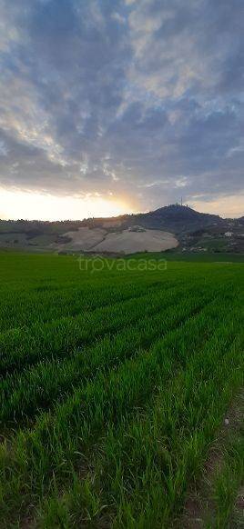 immagine annuncio 8 di 14