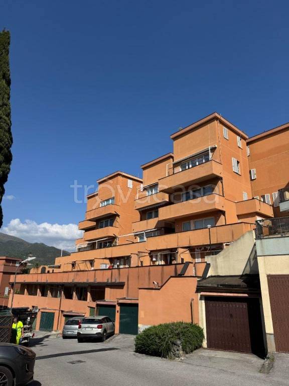 immagine annuncio 6 di 13