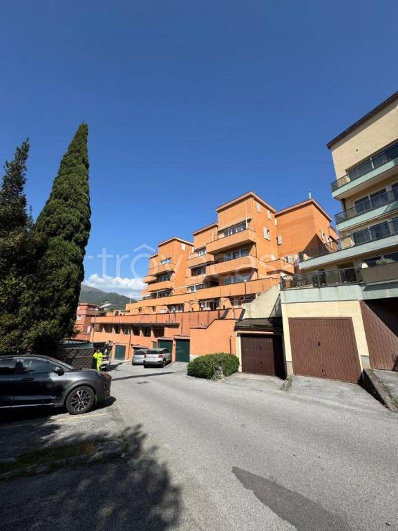 immagine annuncio 7 di 13