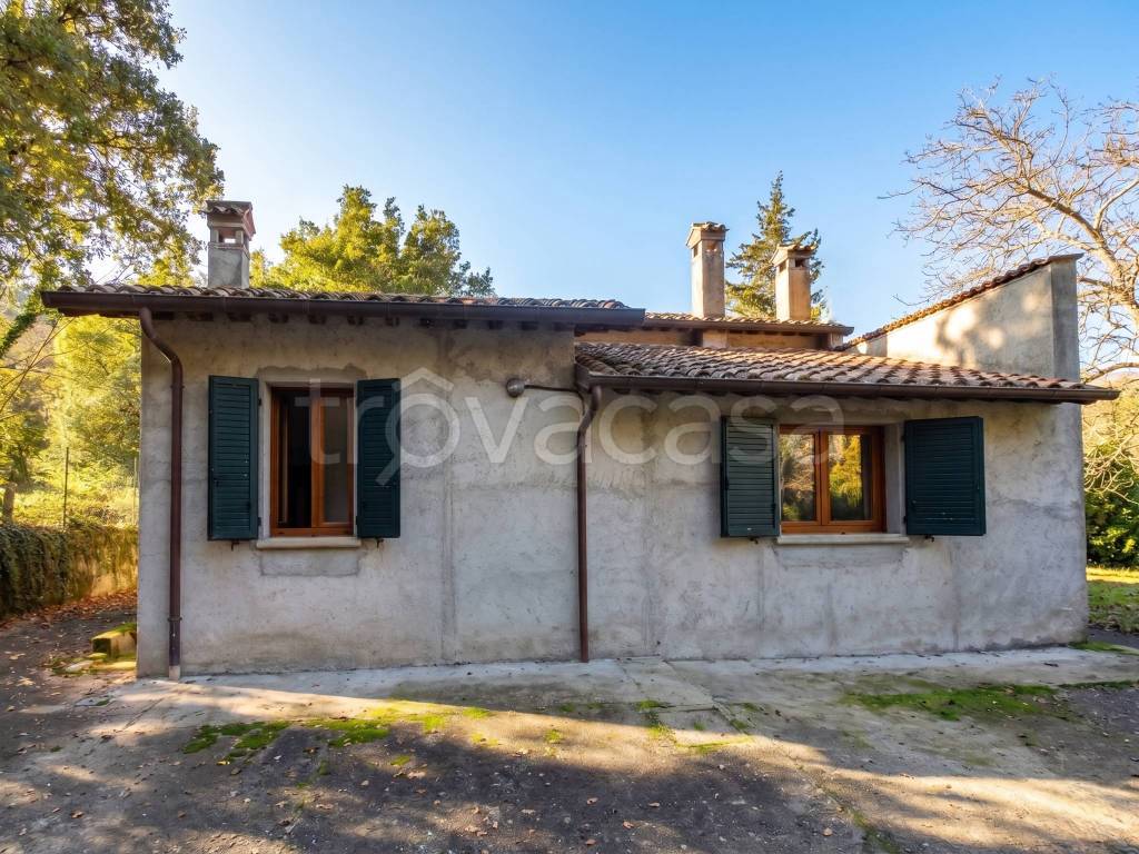 immagine annuncio 9 di 14