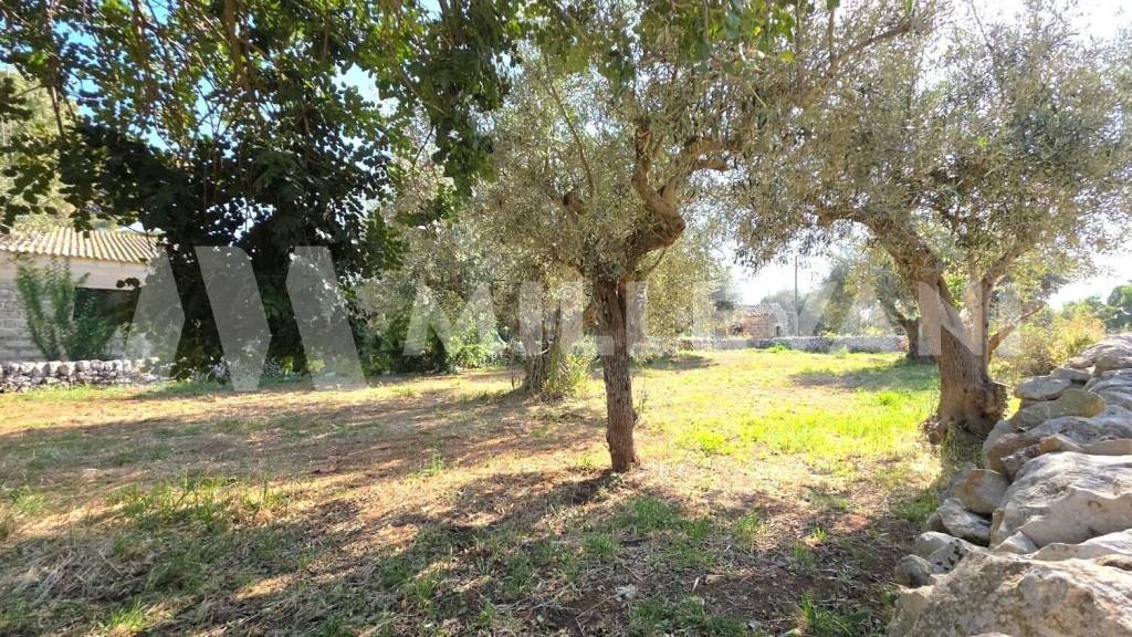immagine annuncio 10 di 14