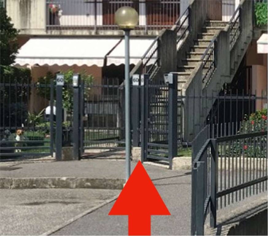 immagine annuncio 4 di 12