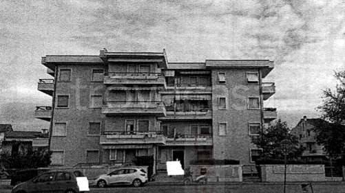 immagine annuncio 1 di 14