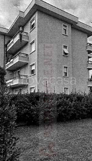 immagine annuncio 2 di 14