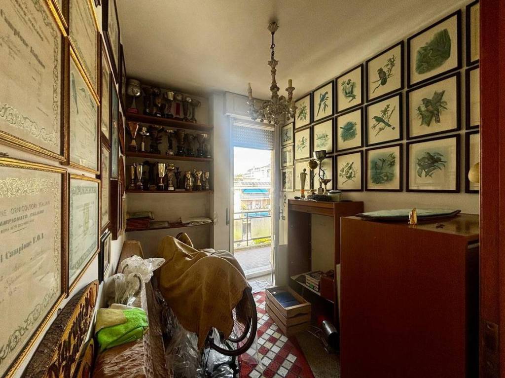 immagine annuncio 11 di 15