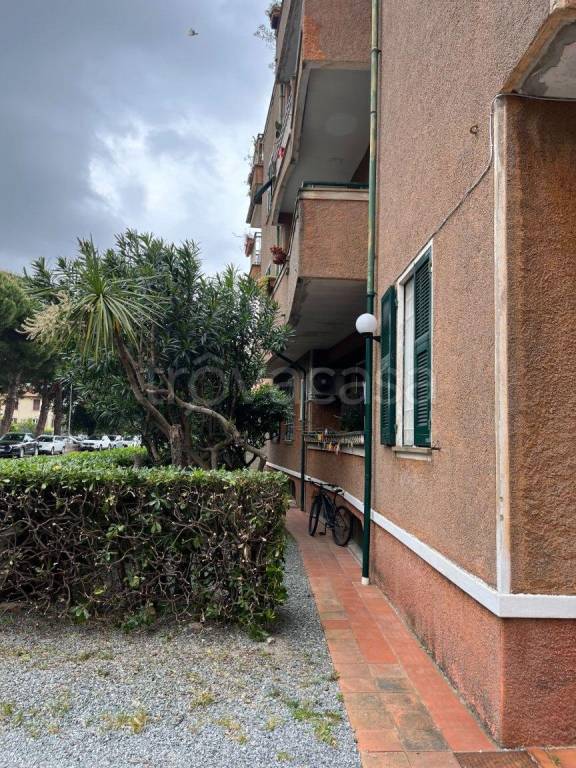 immagine annuncio 10 di 14