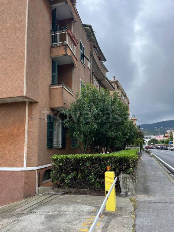 immagine annuncio 4 di 14