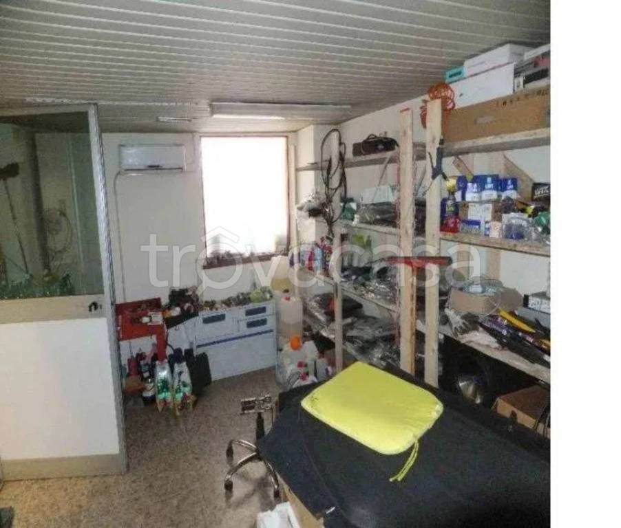 immagine annuncio 10 di 11