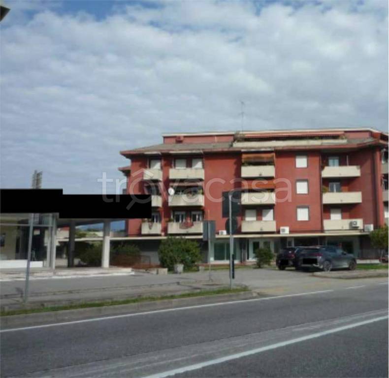 immagine annuncio 6 di 11