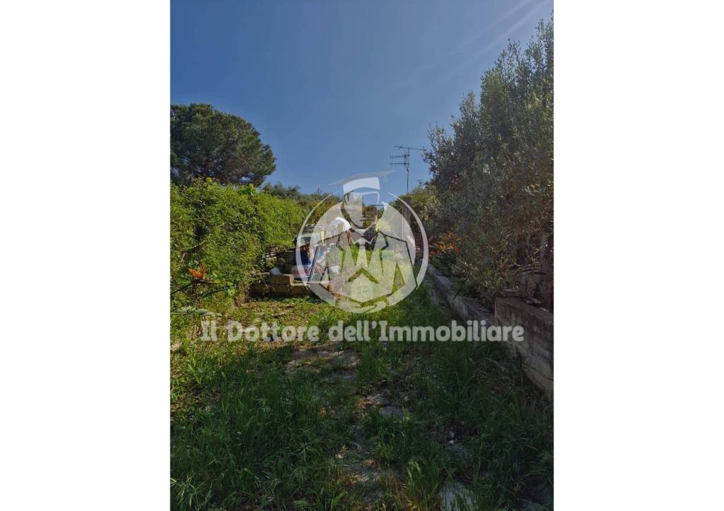 immagine annuncio 10 di 14
