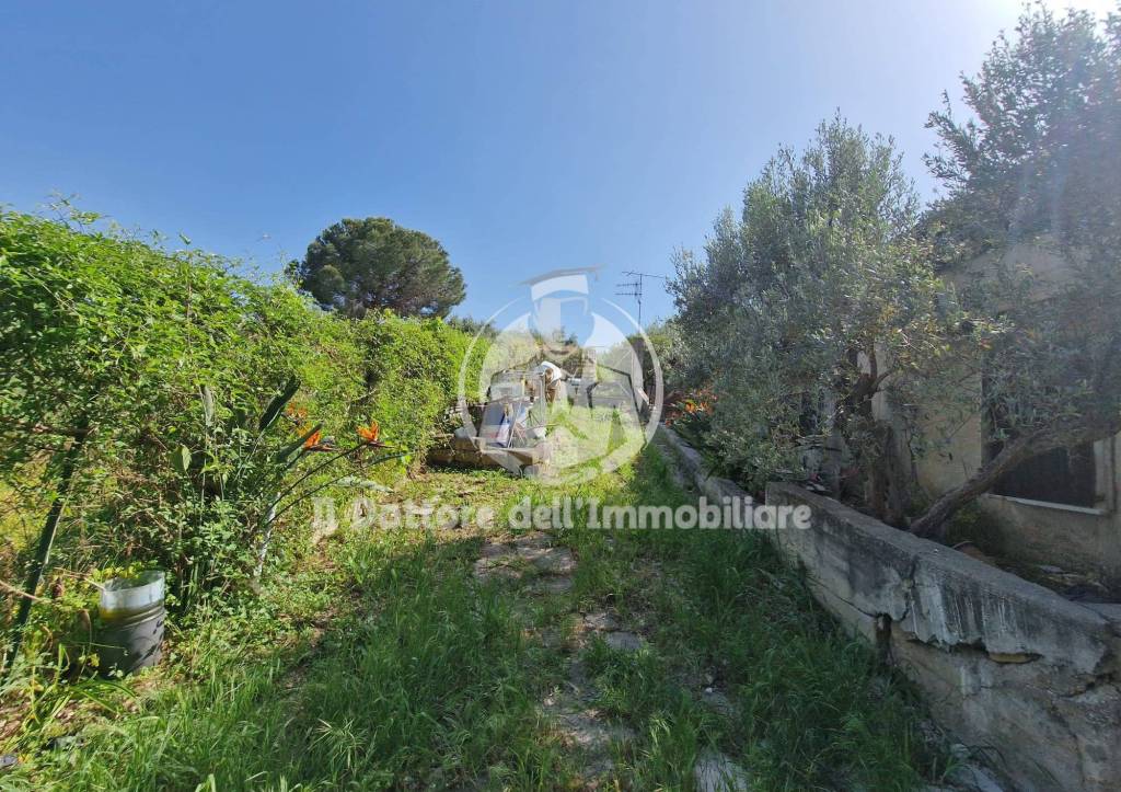 immagine annuncio 11 di 14
