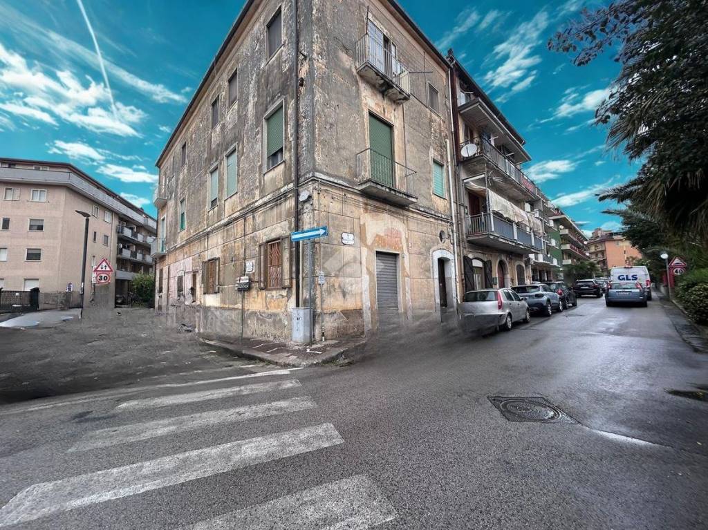 immagine annuncio 1 di 14