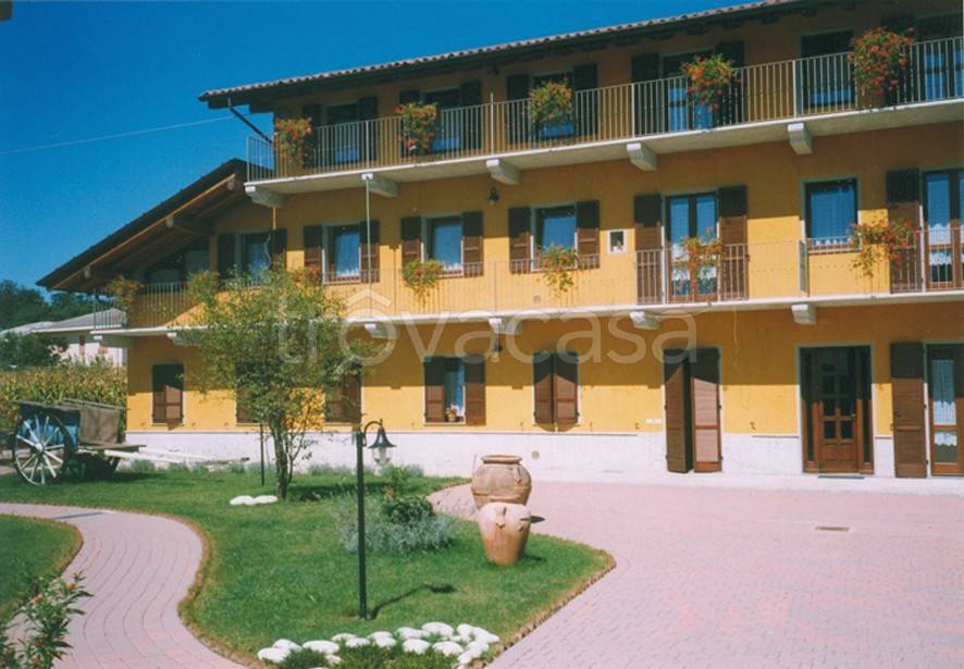 immagine annuncio 3 di 15