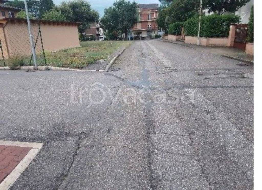immagine annuncio 12 di 13