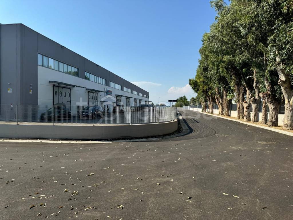 immagine annuncio 12 di 14