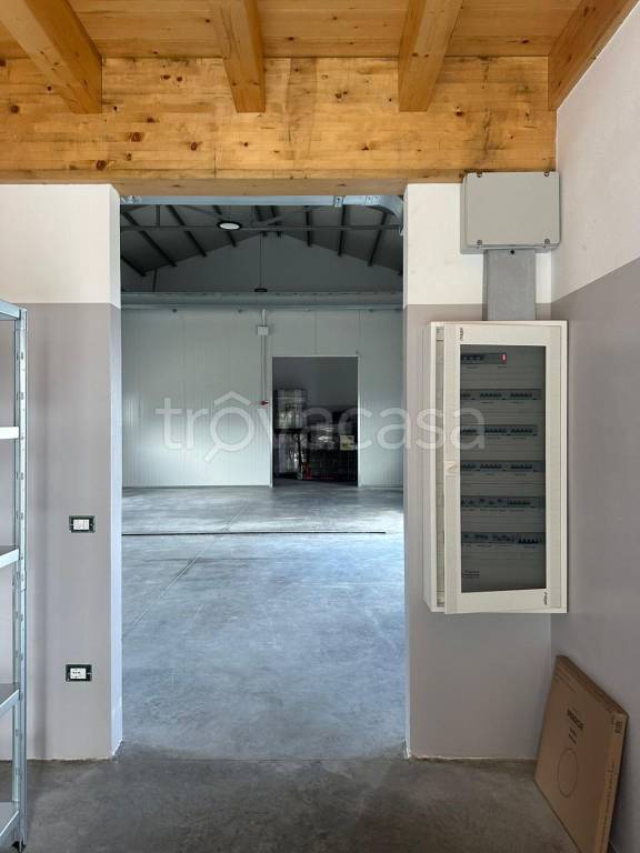 immagine annuncio 5 di 6