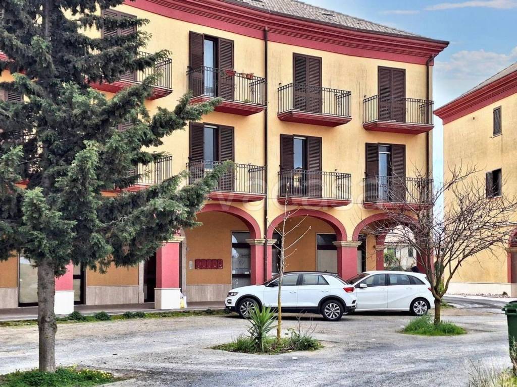 immagine annuncio 14 di 15