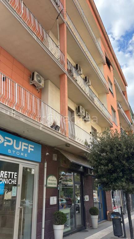 immagine annuncio 13 di 14