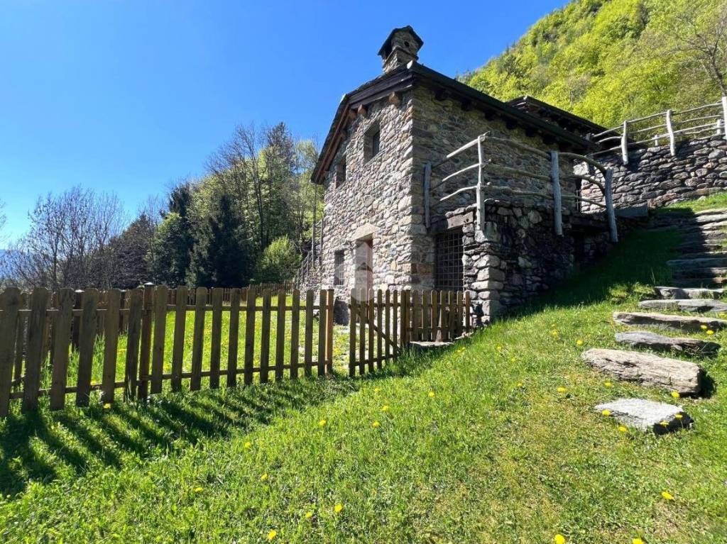 immagine annuncio 1 di 14