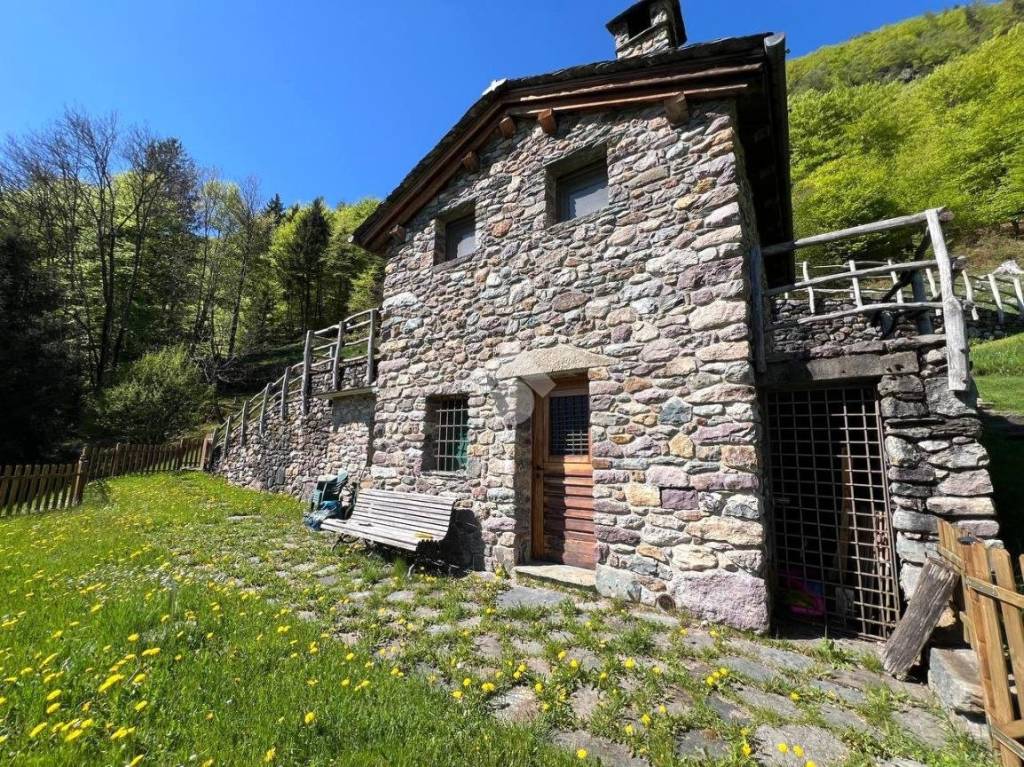 immagine annuncio 2 di 14
