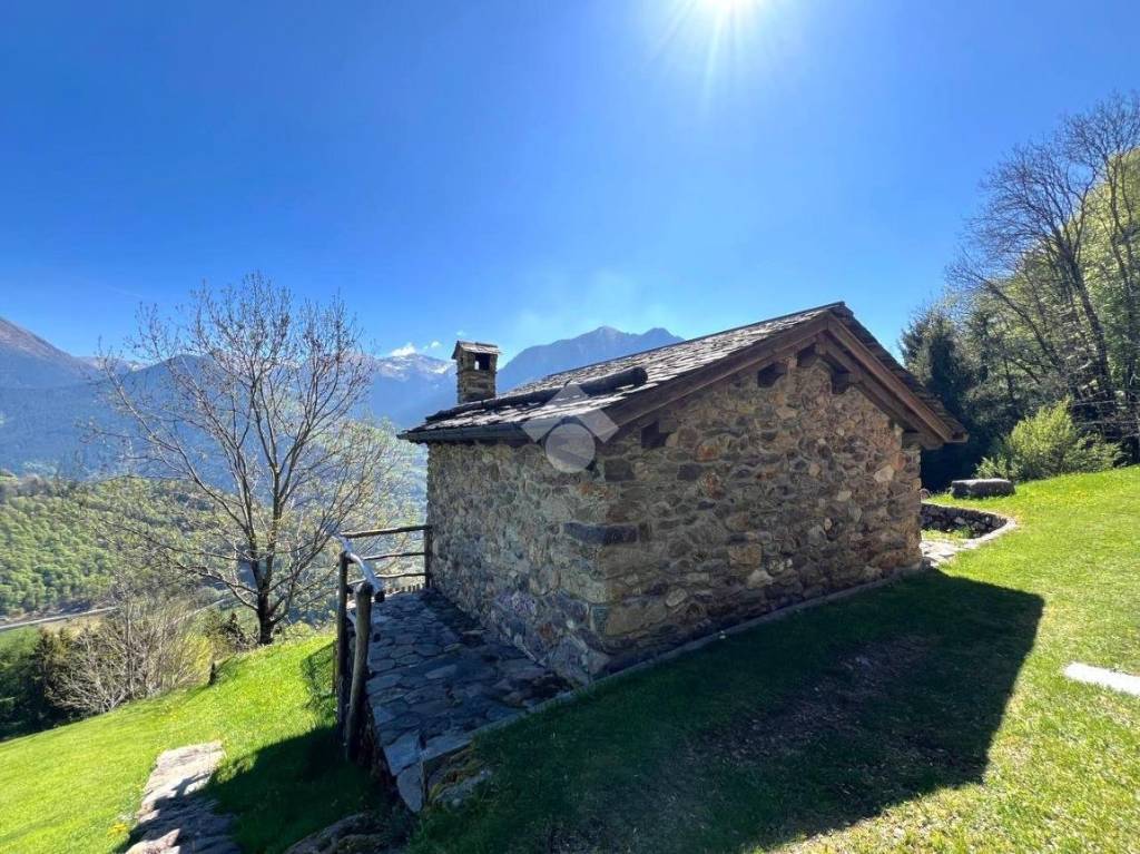 immagine annuncio 3 di 14