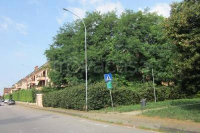 immagine annuncio 6 di 7