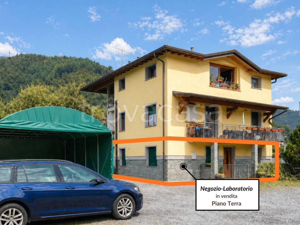 immagine annuncio 1 di 11
