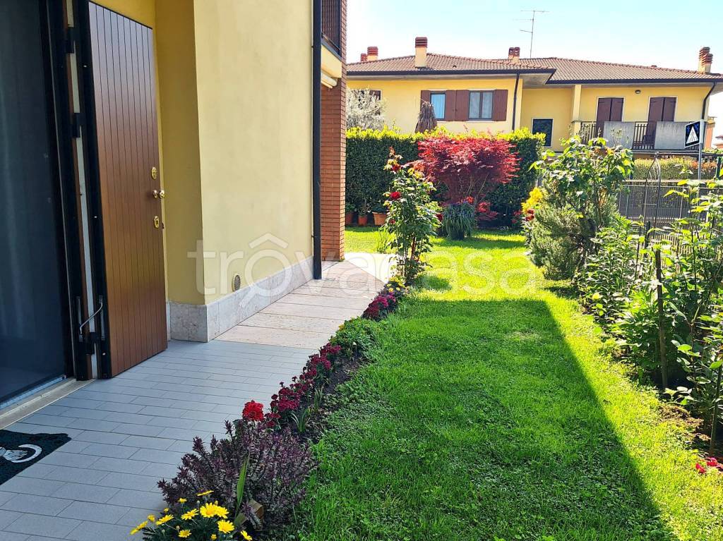 immagine annuncio 11 di 15