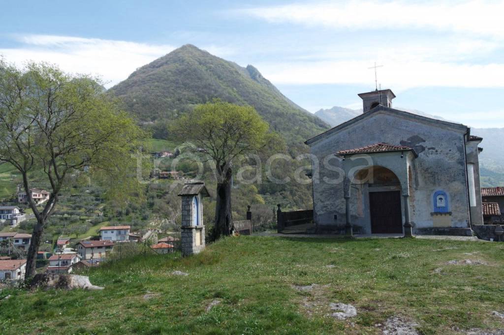 immagine annuncio 4 di 7