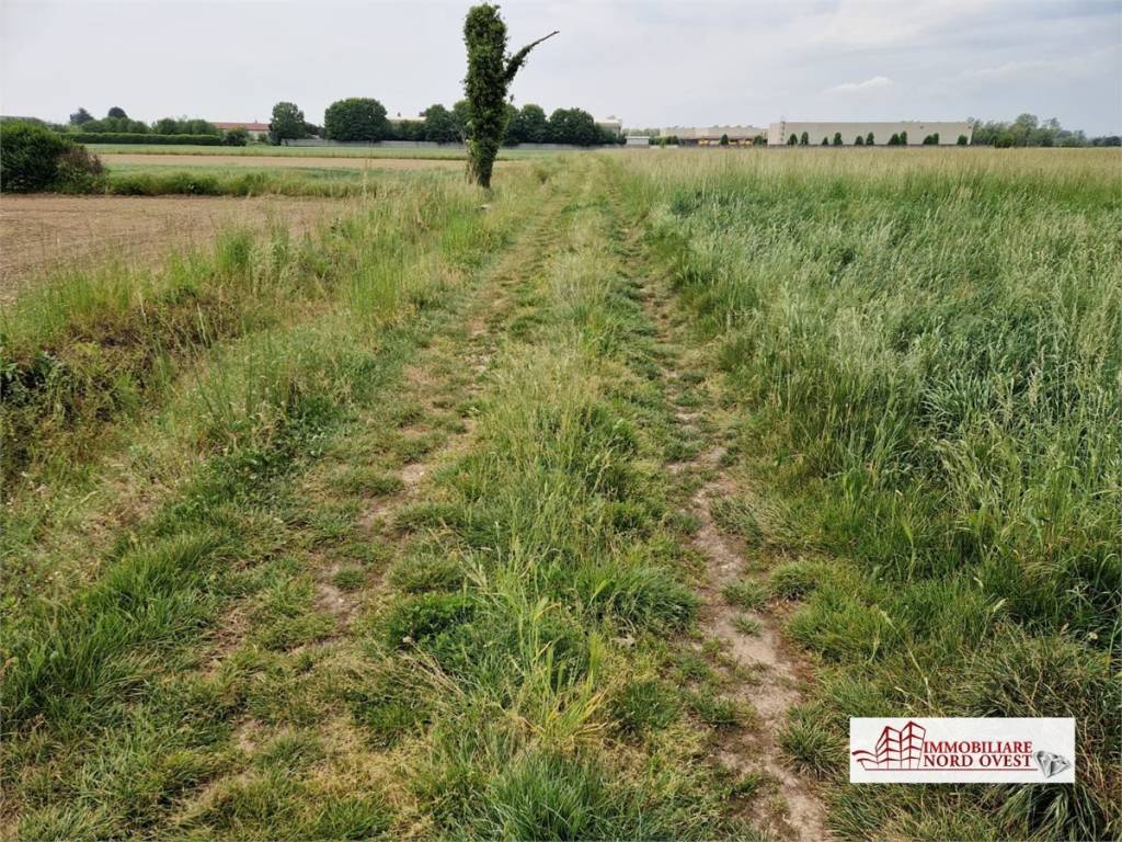 immagine annuncio 1 di 6