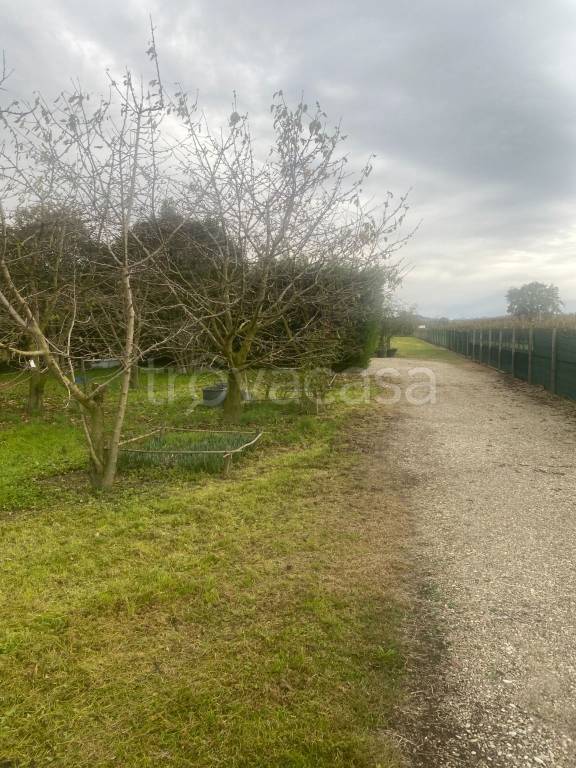 immagine annuncio 9 di 14