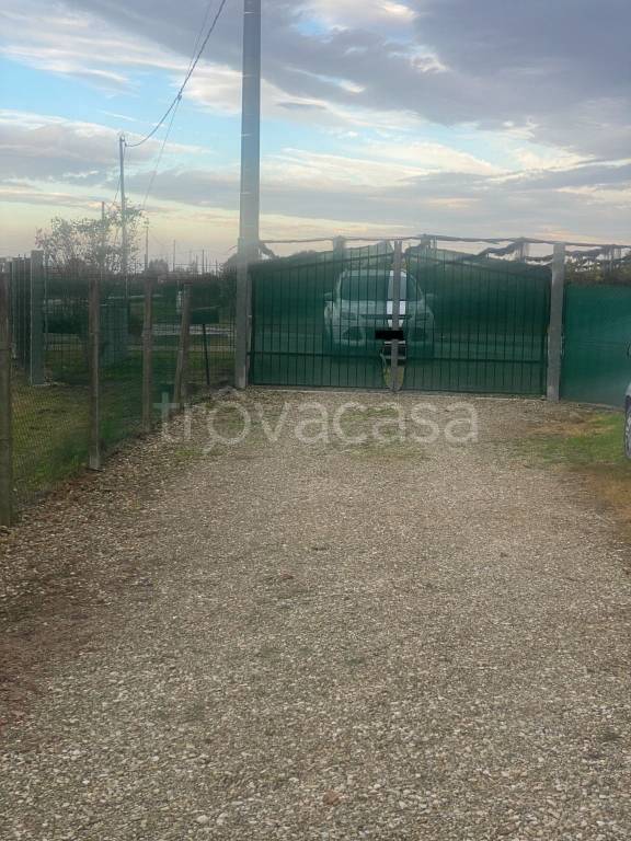immagine annuncio 12 di 14