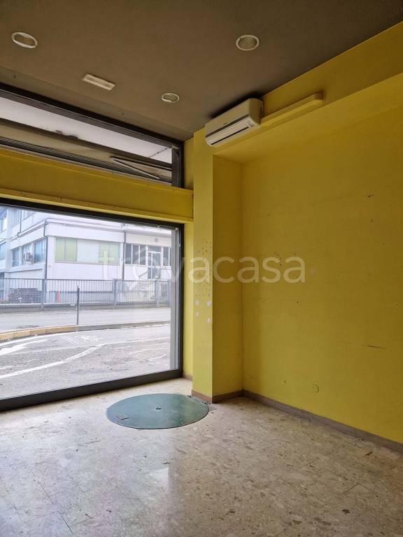 immagine annuncio 10 di 13
