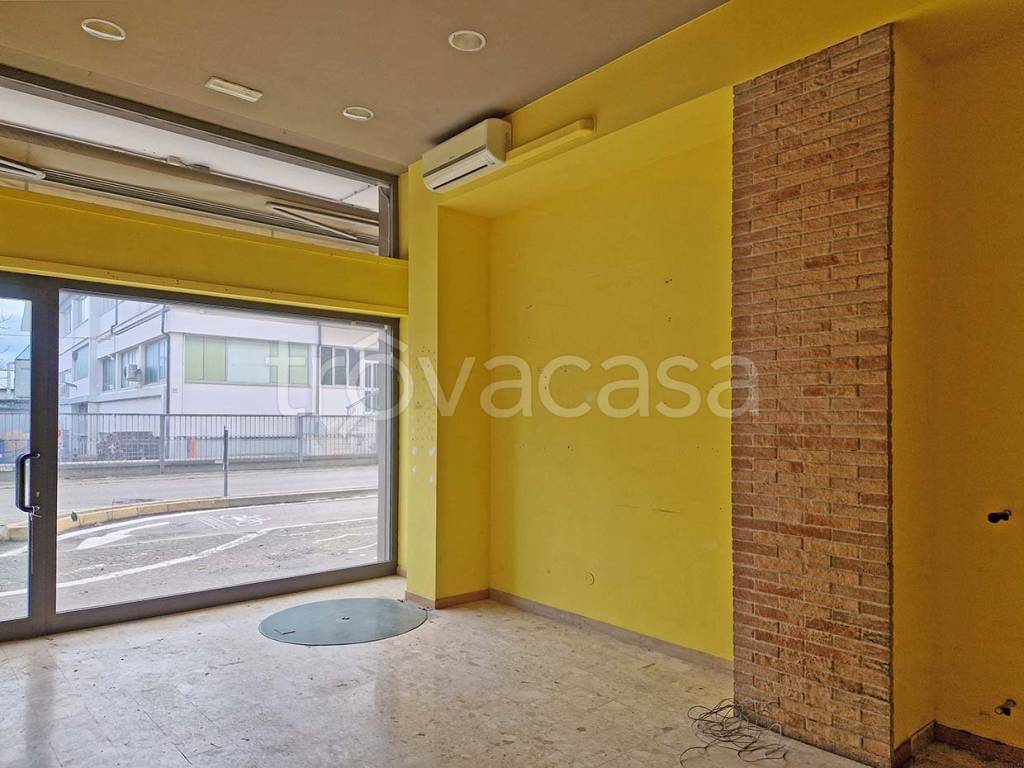 immagine annuncio 11 di 13