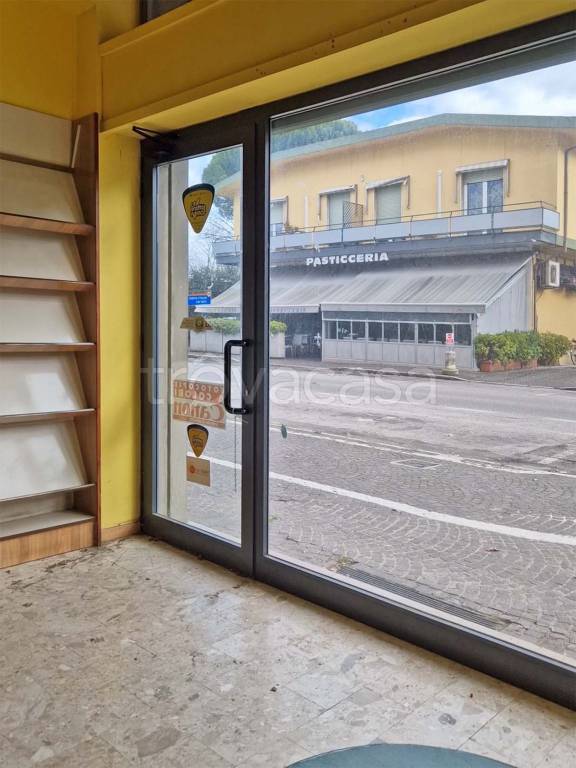 immagine annuncio 12 di 13