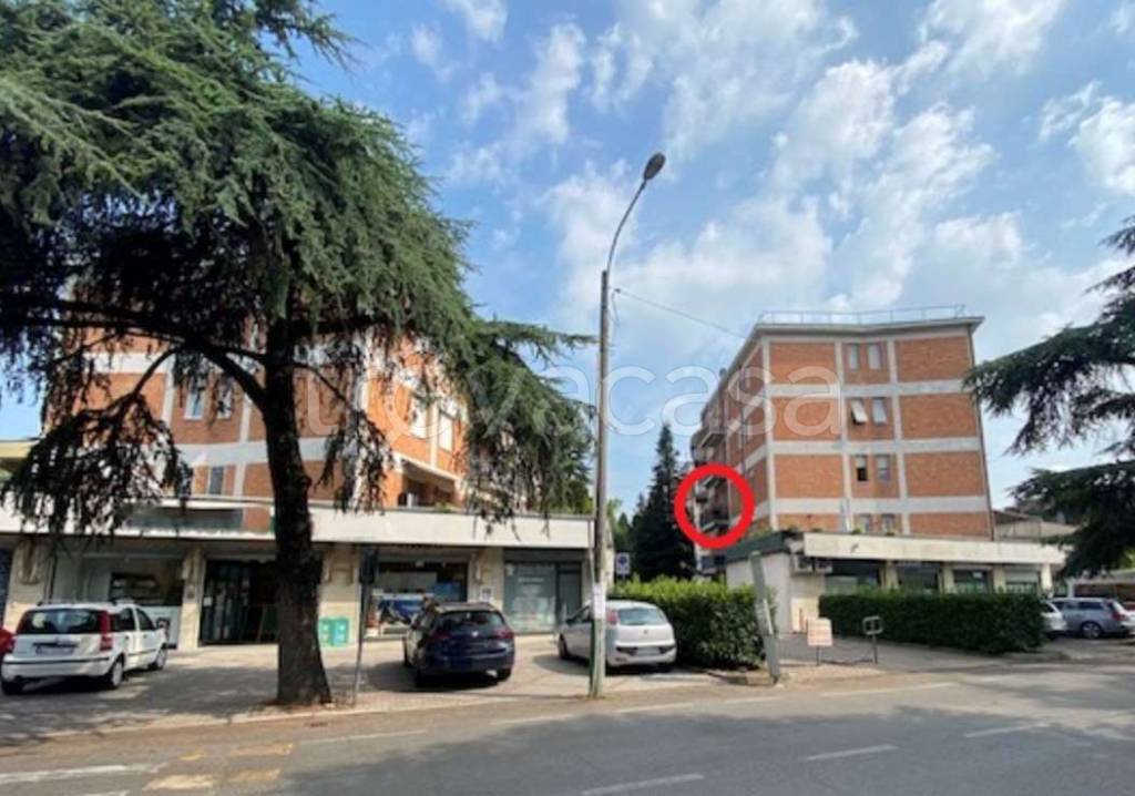 immagine annuncio 5 di 15